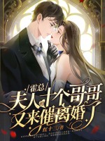 霍总,夫人的十个哥哥又来催离婚了