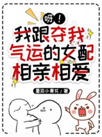 呀!我跟夺我气运的女配相亲相爱